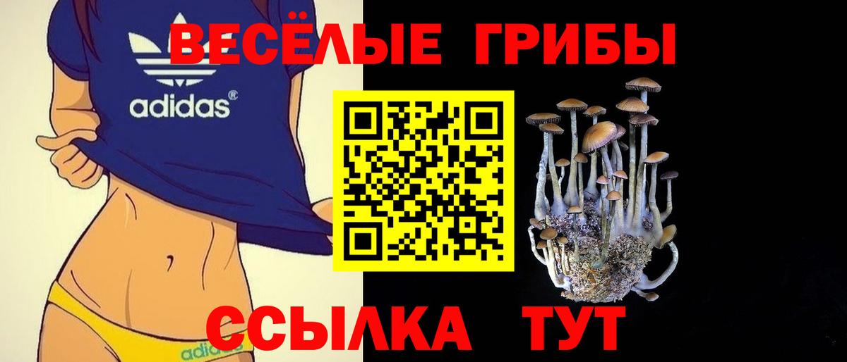 Галлюциногенные грибы прущие грибы  Галлюциногенные грибы Magic Shrooms  Вольск  Вход с VPN 